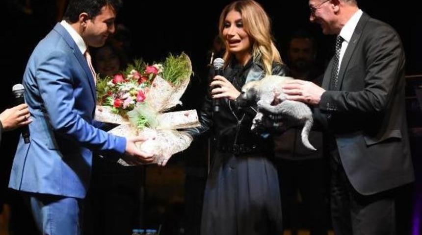 Kangal Festivalinin Ilgi Odağı K&ouml;pekler Oldu (2)