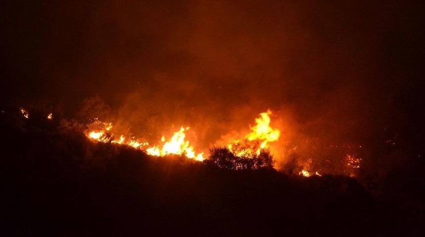 Karşıyaka&rsquo;daki Yangın S&ouml;nd&uuml;r&uuml;ld&uuml;