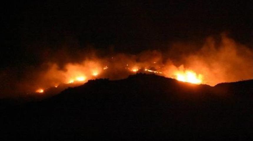 İzmir'de Makilik Alanda Yangın