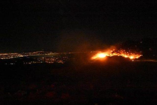 İzmir'de Makilik Alanda Yangın