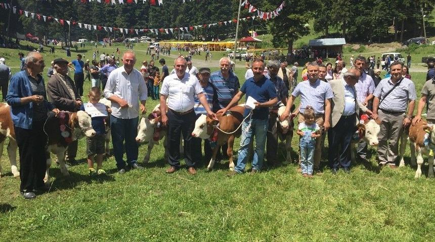 27. Sahara Pancarcı Festivali Renkli G&ouml;r&uuml;nt&uuml;lere Sahne Oldu