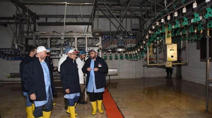 Vali Demirtaş, Beyza Pili&ccedil; Tesislerinde İncelemelerde Bulundu