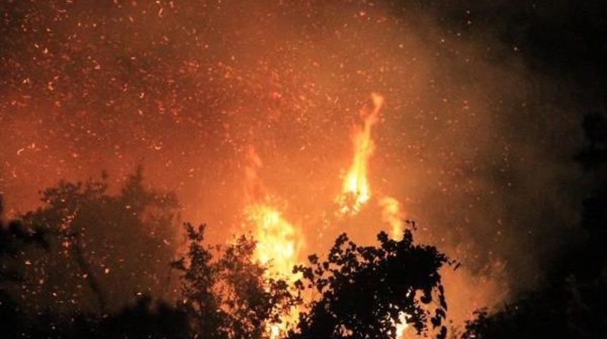 Serik'te Yangın Korkuttu