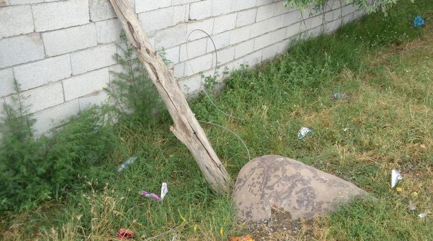 Iğdır&rsquo;da Kopan Elektrik Teli &Ouml;ld&uuml;r&uuml;yordu