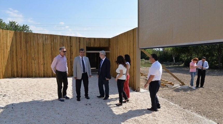 &Uuml;niversiteli Geyikler Bilimsel &Ccedil;alışmalara Konu Olacak