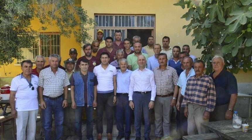 Sarayköy’de Yanan Ormanlık Alanlar Tekrar Yeşillendirilecek