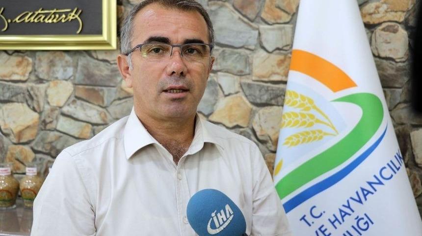 Anız Yangınları Hutbelerle &Ouml;nlenecek