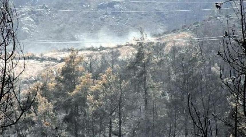 Menderes'te Yanan B&ouml;lge Kasım Ayında Ağa&ccedil;landırılacak