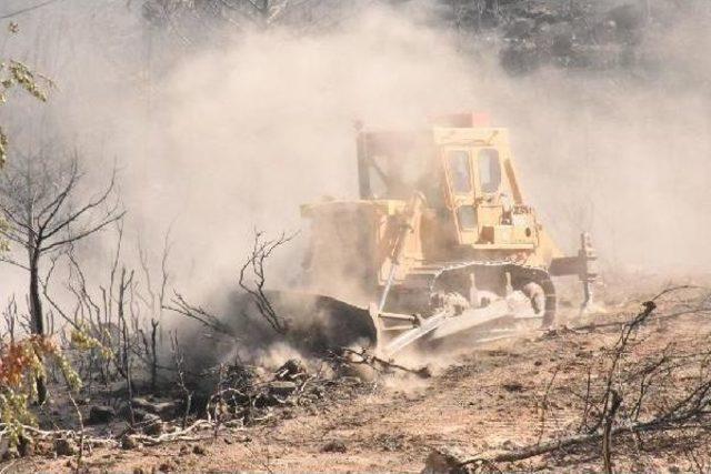 Menderes te Yanan Bölge Kasım Ayında Ağaçlandırılacak 1