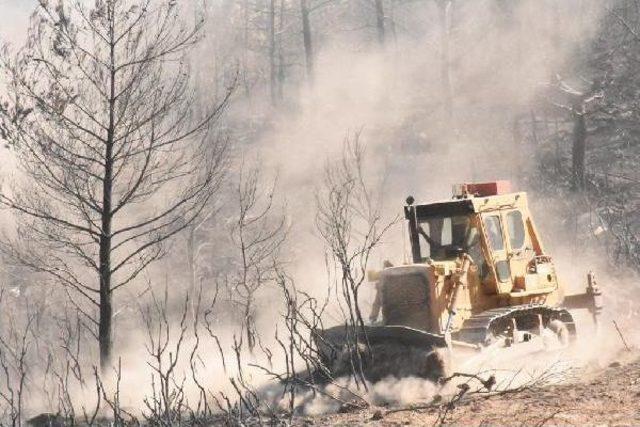 Menderes te Yanan Bölge Kasım Ayında Ağaçlandırılacak 2