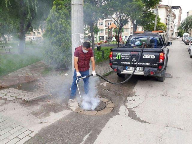 Tepebaşı’nda İlaçlama Çalışmaları