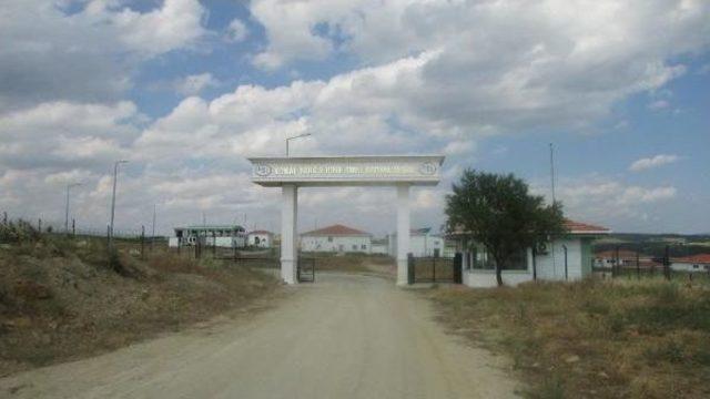 Kaymakam &Uuml;nc&uuml;: &Ccedil;okal Barajı ndaki Balık &Ouml;l&uuml;mleri Inceleniyor 3