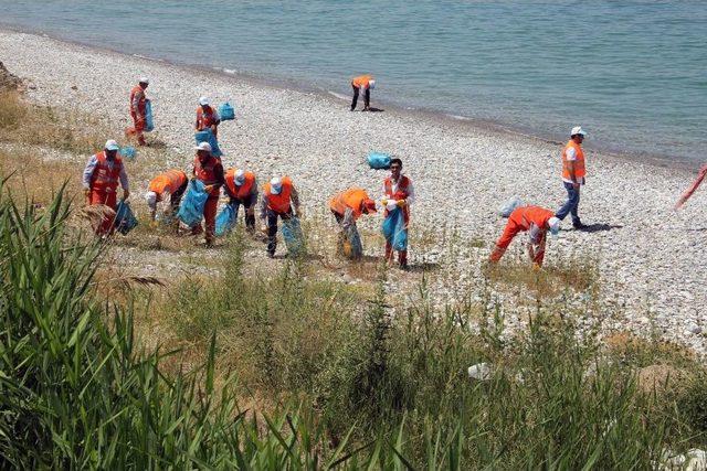 Van Gölü Sahillerinde Temizlik Çalışması