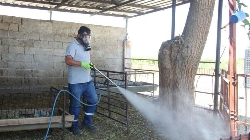 Sarıg&ouml;l&rsquo;de Haşere İle M&uuml;cadele Devam Ediyor