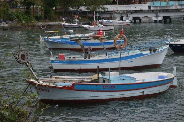 ‘orta Su Trol Balık Avcılığının Yasaklanması’ Talebi