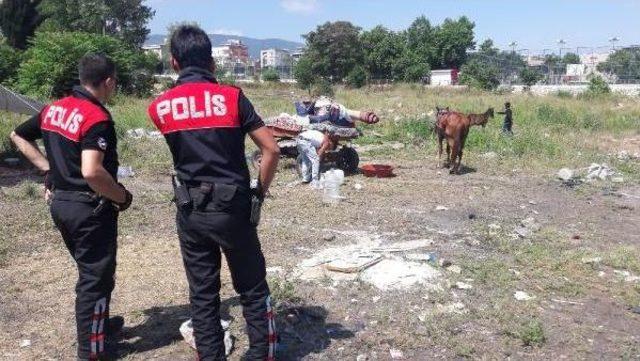 Bursa da &Ccedil;adırları Yıkılırken G&ouml;bek Attılar 2