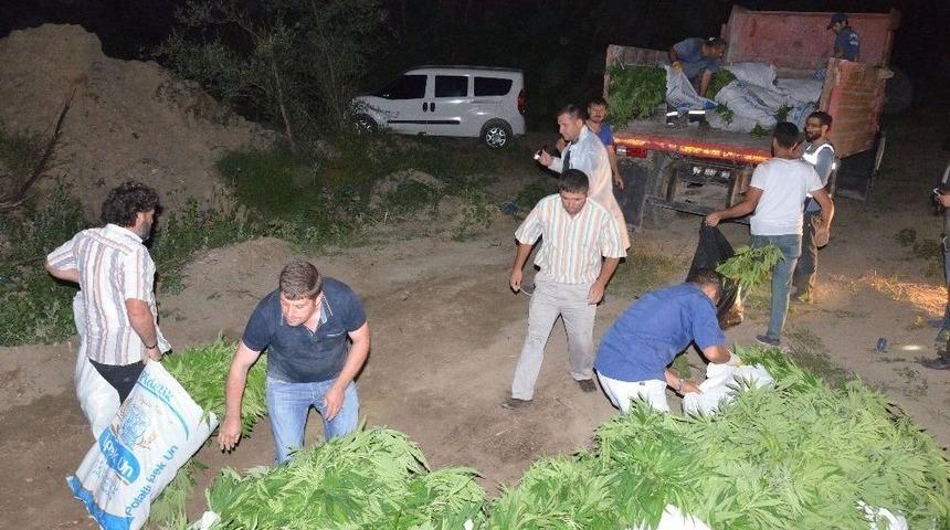 Başkent&rsquo;te Son Yılların En B&uuml;y&uuml;k Kenevir Operasyonu