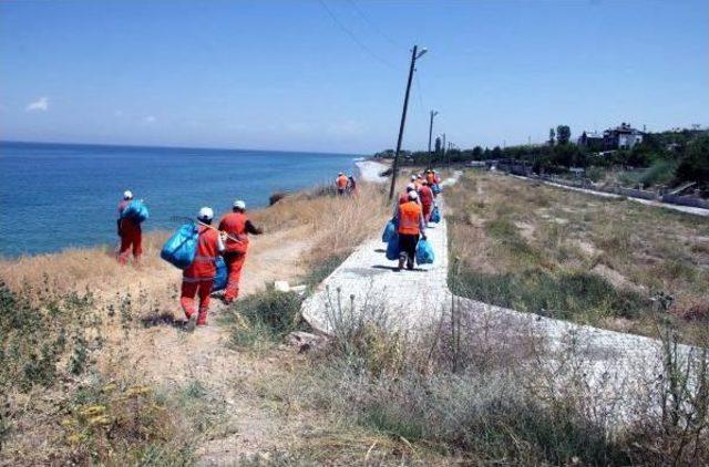 Van Gölü Sahillerinde Temizlik Çalışması