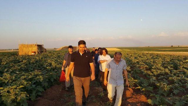 Başkan Gülenç, Çalışmaları Yerinde İnceliyor