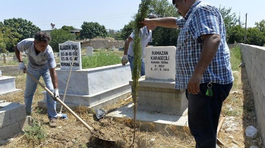 Talep Şanlıurfa&rsquo;dan Hizmet Mersin B&uuml;y&uuml;kşehir Belediyesi&rsquo;nden