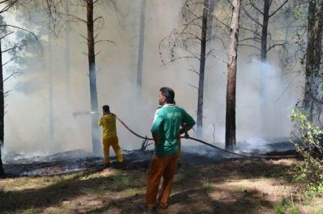 Kozan'da Orman Yangını (2)