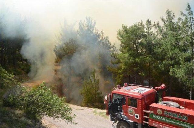 Kozan'da Orman Yangını (2)