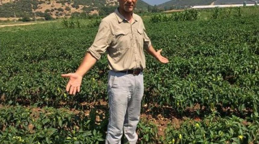 Chp'li Sarıbal: Akp D&ouml;neminde &Ccedil;ift&ccedil;i Sayısı 624 Bin Kişi Azaldı