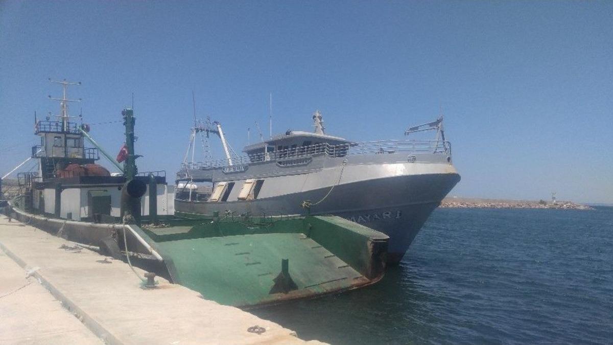 &Ccedil;anakkale&rsquo;de 226 Ka&ccedil;ak G&ouml;&ccedil;men Yakalandı