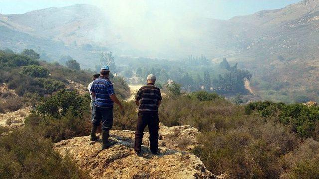 Bodrum’da Örtü Yangını