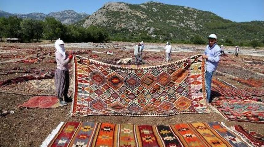 Antalya'da Halı Tarlaları