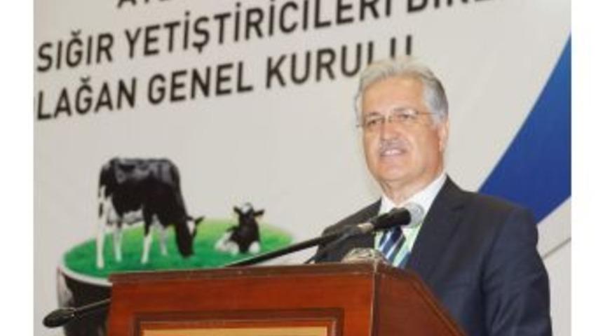 Başkan G&uuml;ng&ouml;r&rsquo;den Bakan &Ccedil;elik&rsquo;in A&ccedil;ıklamalarına Destek