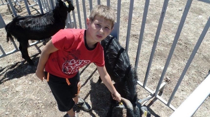 Karaburun&rsquo;da Kırkım Şenliği Coşkusu