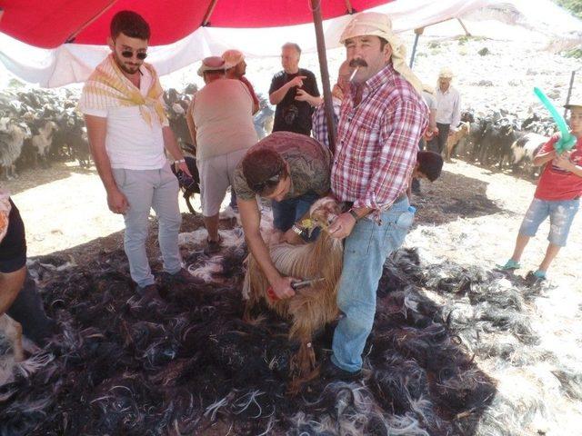 Karaburun&rsquo;da Kırkım Şenliği Coşkusu 1
