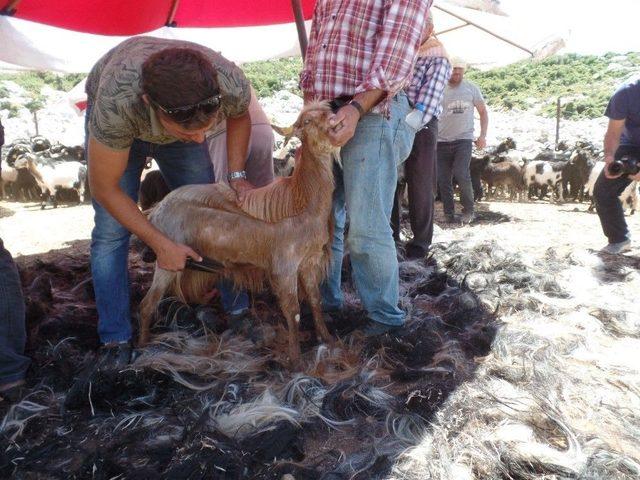 Karaburun&rsquo;da Kırkım Şenliği Coşkusu 2