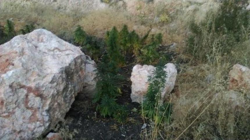 Gaziantep'te Uyuşturucu Operasyonu: 3 G&ouml;zaltı