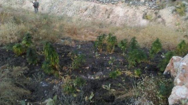 Gaziantep te Uyuşturucu Operasyonu: 3 G&ouml;zaltı 1