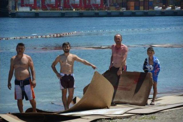 Gemiden Dökülen Suntalar Gemlik Sahiline Vurdu