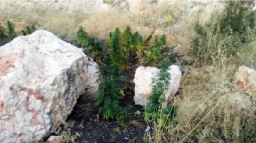 Gaziantep&rsquo;te Uyuşturucu Operasyonu: 3 G&ouml;zaltı