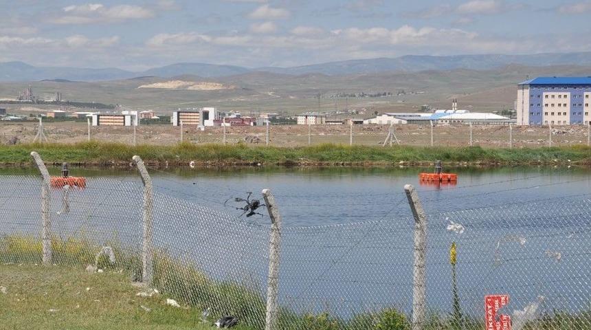 Şeker Fabrikası&rsquo;nın Koku Yayan Havuzu Tepki &Ccedil;ekiyor