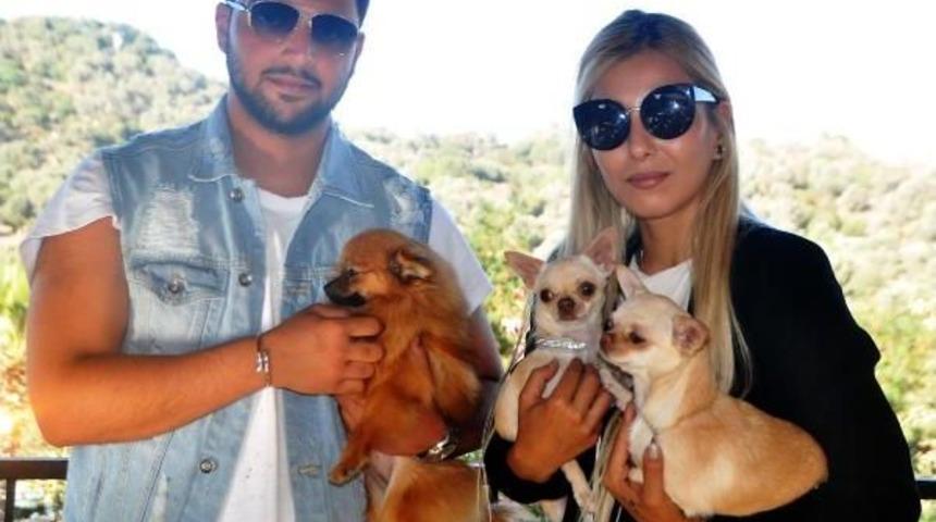 Bodrum'da Köpek Irkları Yarıştırıldı