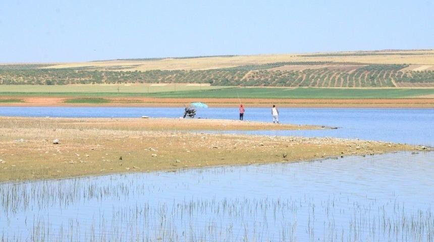 Gaziantep&rsquo;te Korkutan Balık &Ouml;l&uuml;mleri