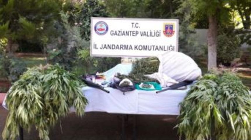 Gaziantep&rsquo;te Uyuşturucu Operasyonu