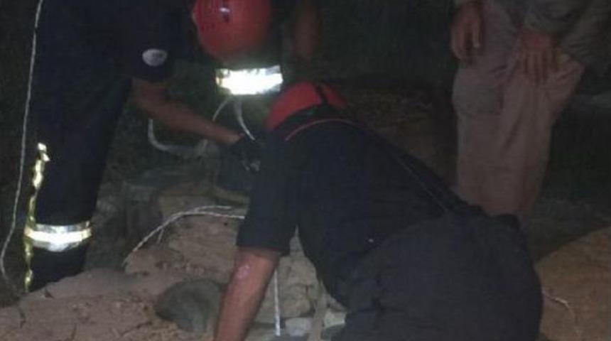 14 Metrelik Kuyuya D&uuml;şen Koyunu Itfaiye Kurtardı