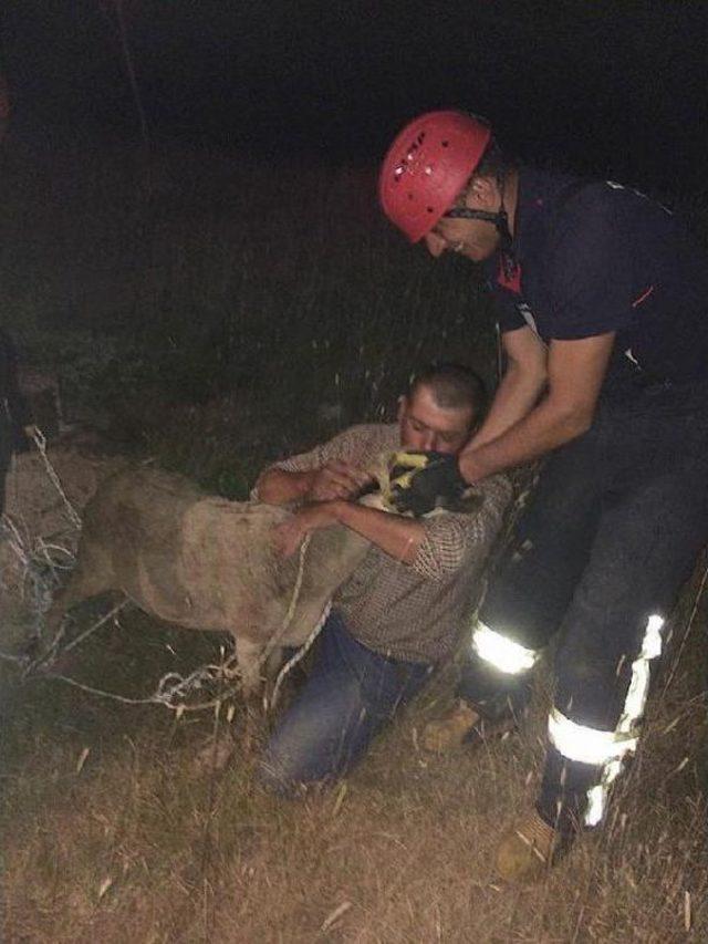 14 Metrelik Kuyuya Düşen Koyunu Itfaiye Kurtardı