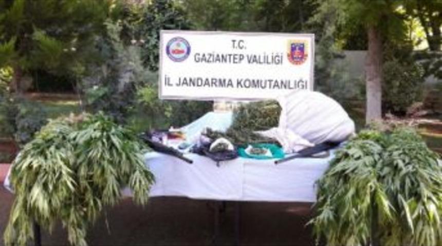 Oğuzeli'nde Uyuşturucu Operasyonu: 3 G&ouml;zaltı