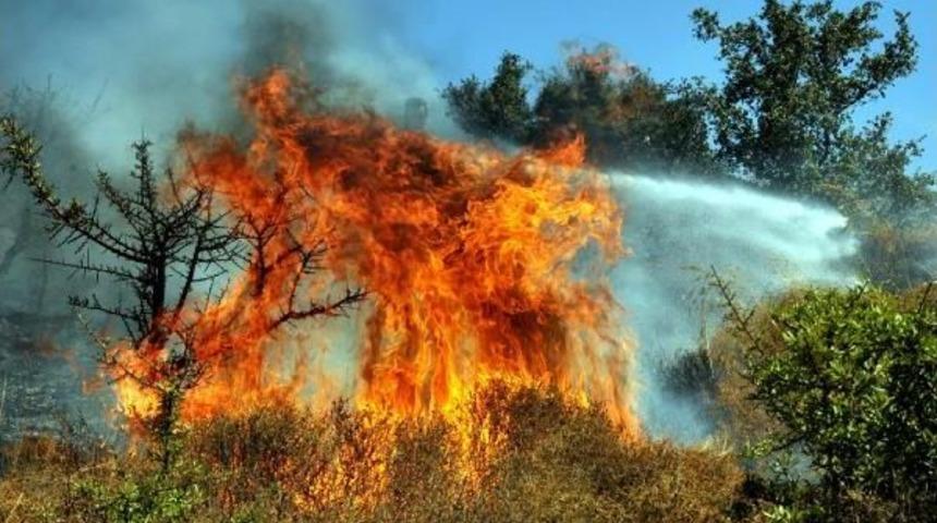 Bodrum'da Korkutan Yangın