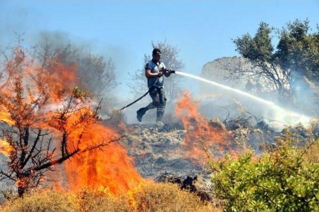 Bodrum'da Korkutan Yangın