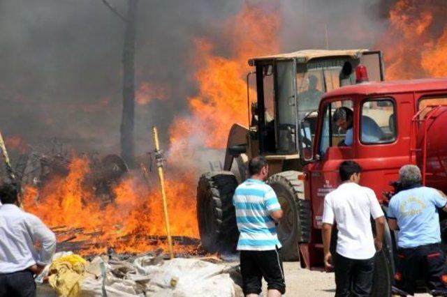 Bodrum'da Korkutan Yangın