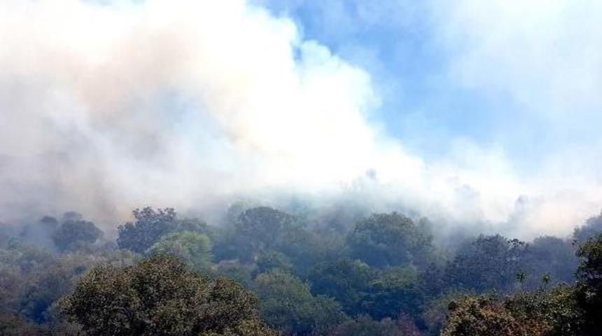 Bodrum'da Korkutan Yangın (2)