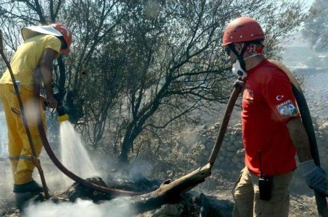 Bodrum'da Korkutan Yangın (2)